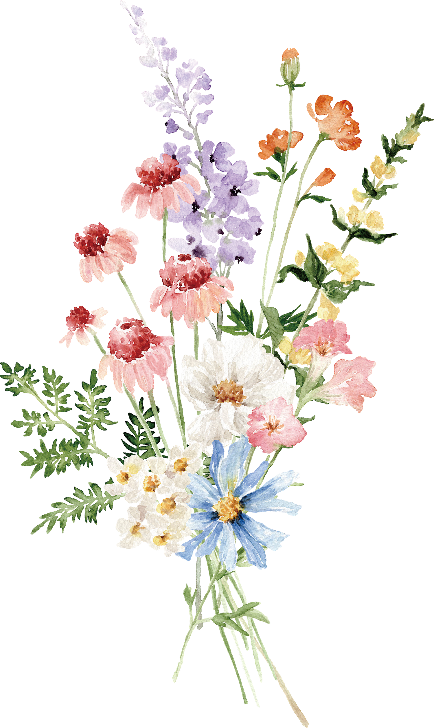 The Wedding Website of Katelen Fuller and Tucker Bird