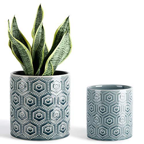 Greenaholics Hexagon Pattern Ceramic Planters - 5 + 6 Inch Plant Pots with Drainage Hole, Flower Plant Container for Indoor Outdoor, Set of Two, Blue