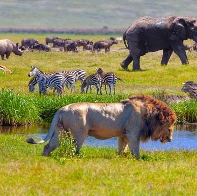 Serengeti Park Fees for 2