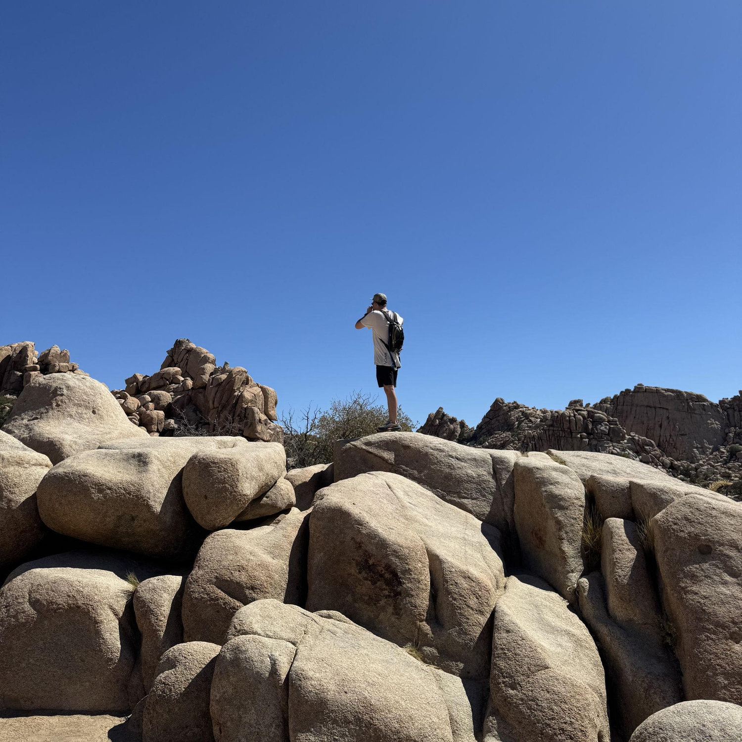 Joshua Tree