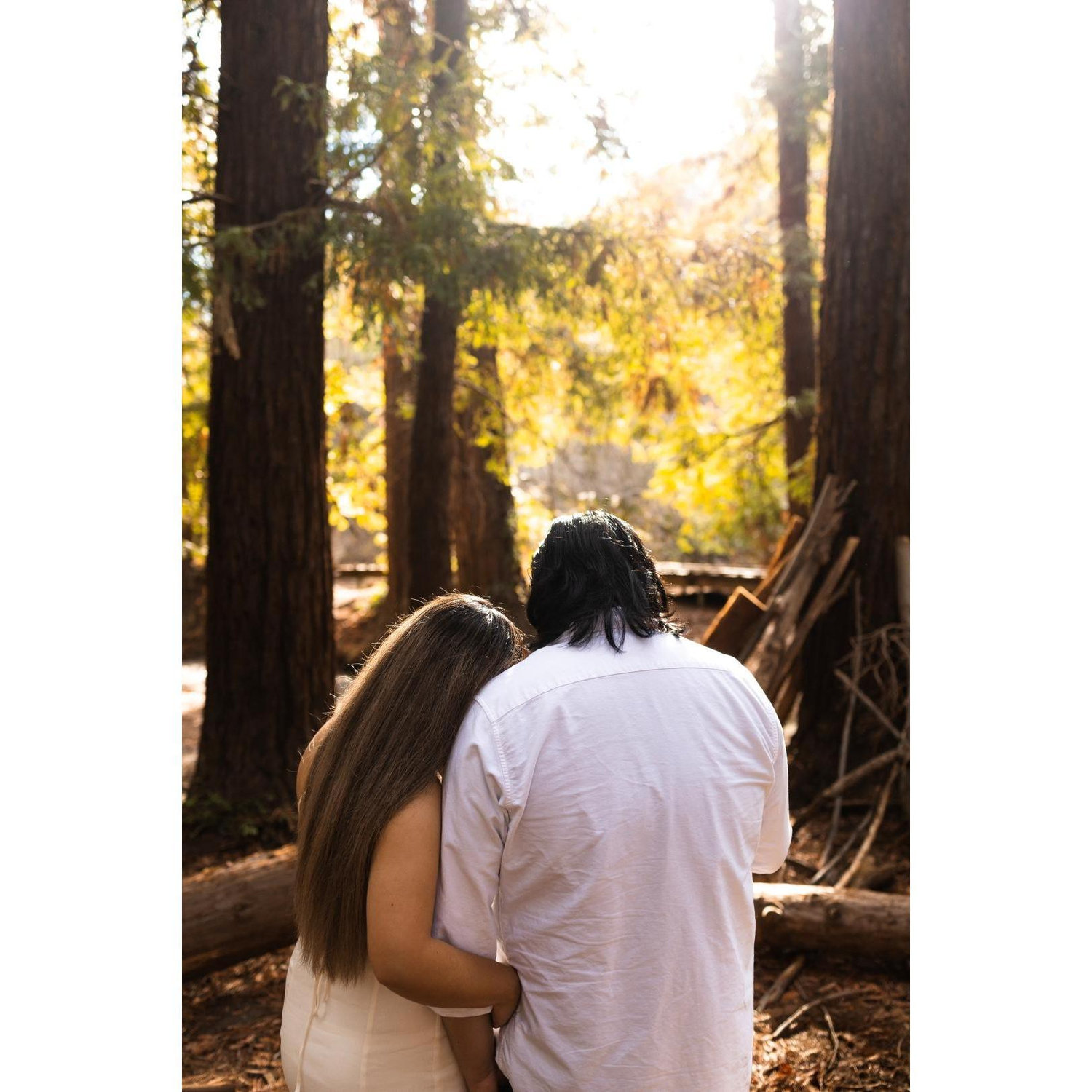 Engagement Photoshoot at Redwood Grove!