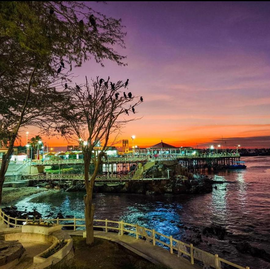 You can also walk the Costanera Walk during the night as well