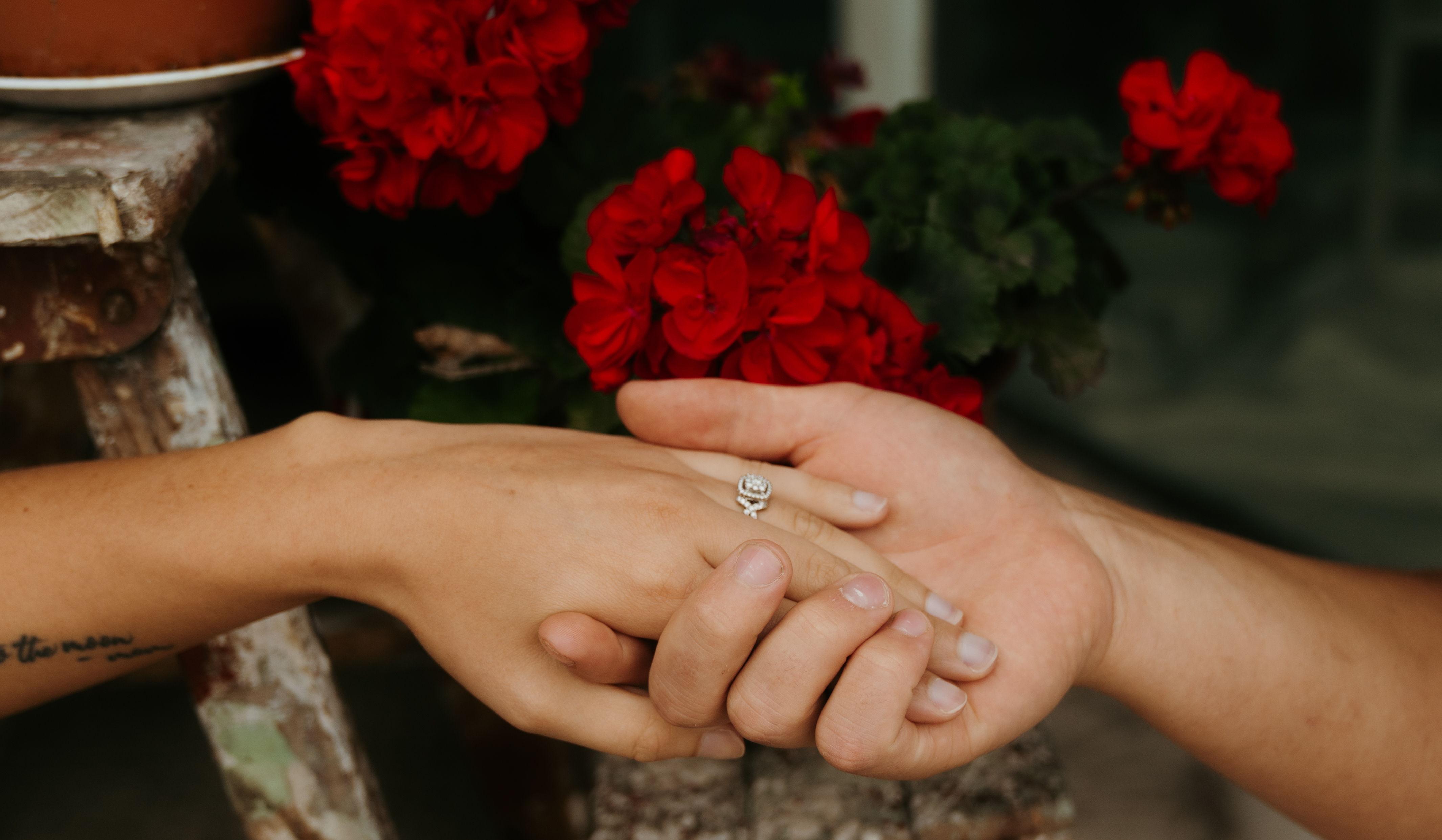 Hero Slideshow Image 4