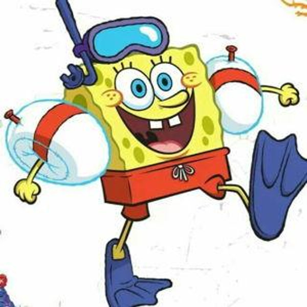 Diving Classes & Certification