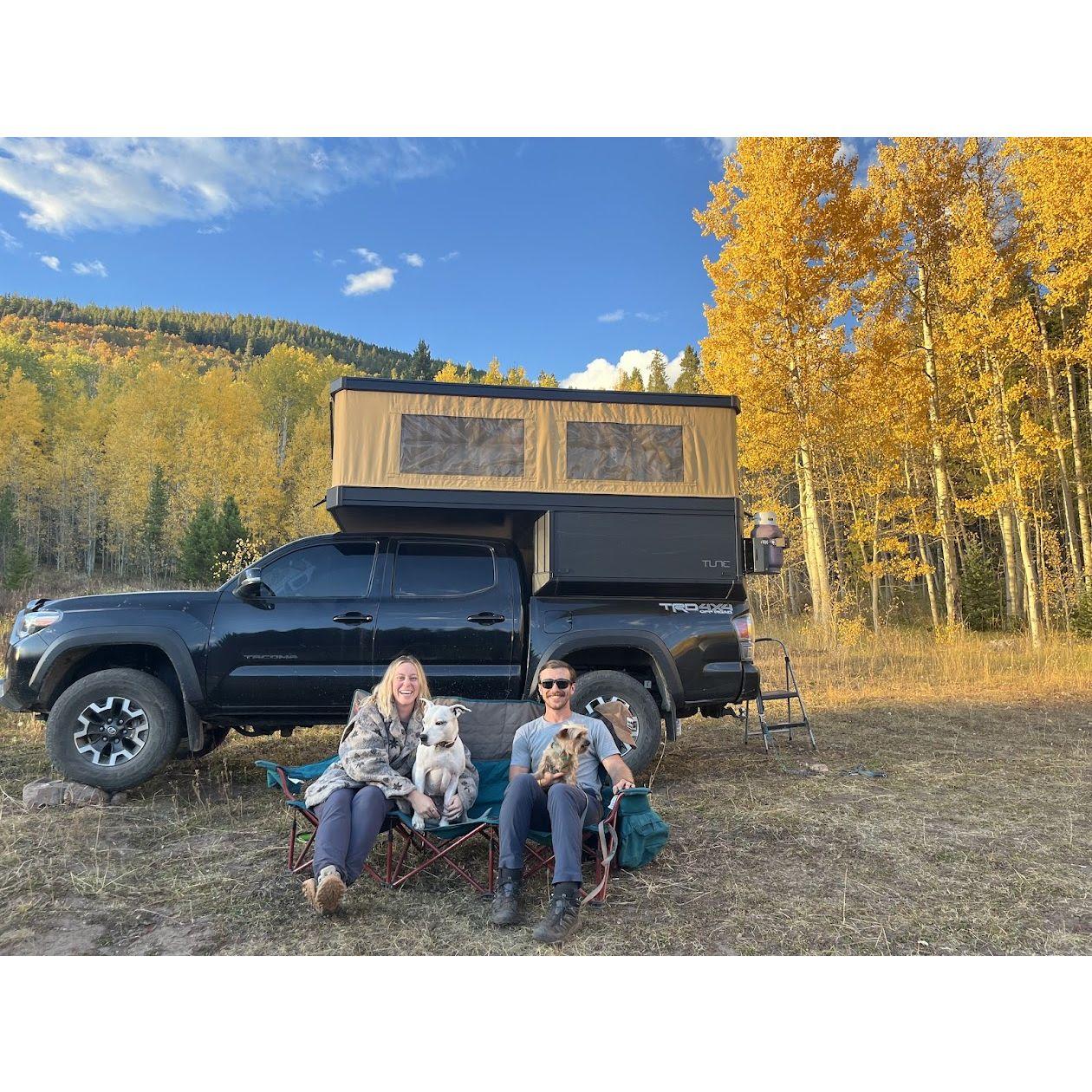Tune Leaf Peepin' Trip