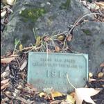 Look for Surprise Informational Placks