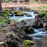 Guadalupe River State Park