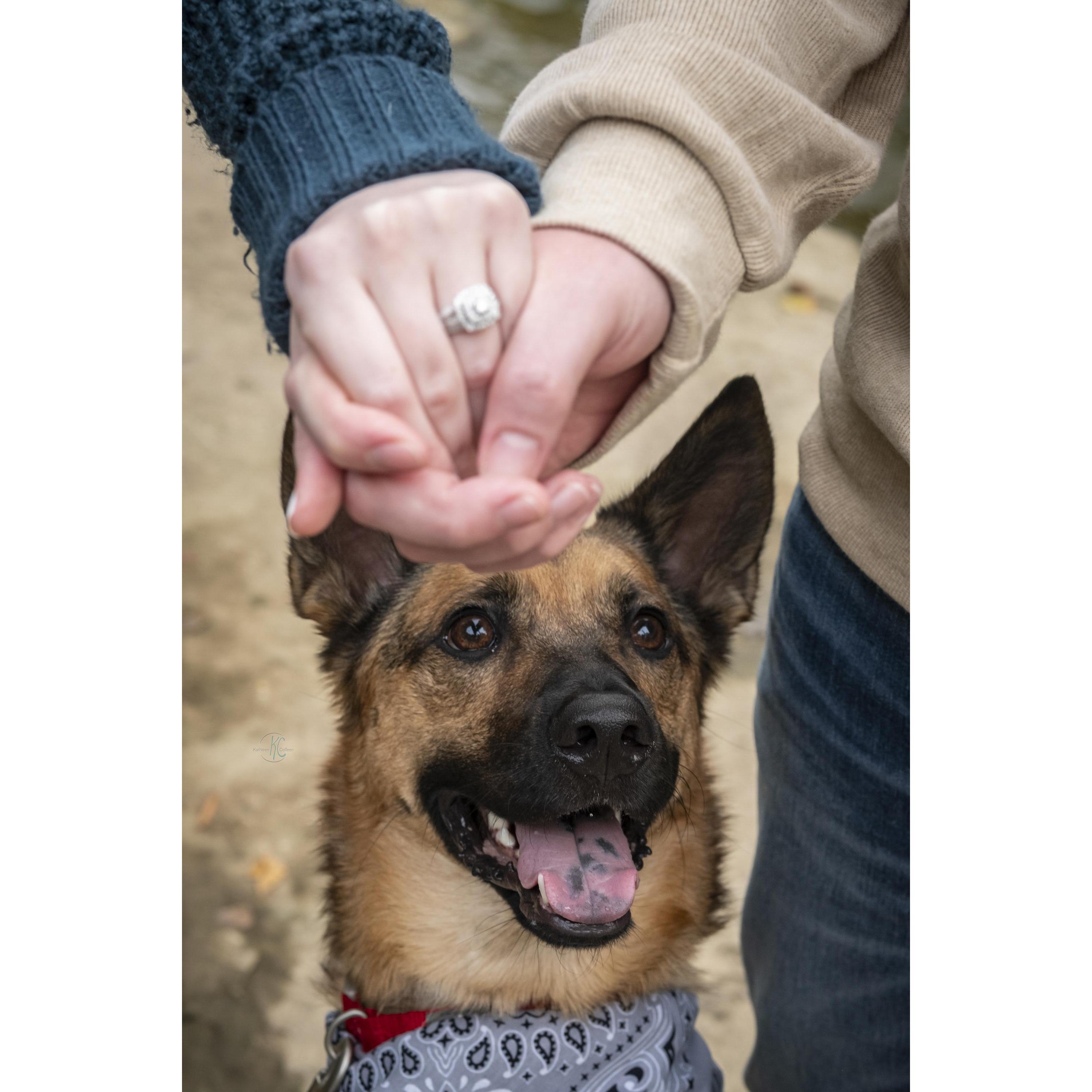 Engagement pics with the star of the show.
