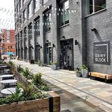 Dairy Block & Milk Market
