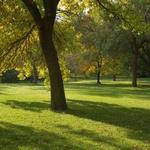 Confederation Park