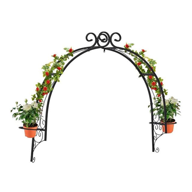 Kintness Steel Garden Window Trellis Arch - Wall-Mounted Garden Arbor for Climbing Plants Roses Vines Support Rack Decoration