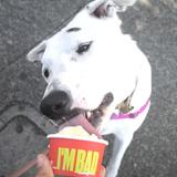 Bad Walter's Bootleg Ice Cream