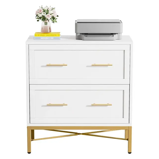 Tribesigns Lateral Filing Cabinet, 2-Drawer File Storage Cabinet, White & Gold