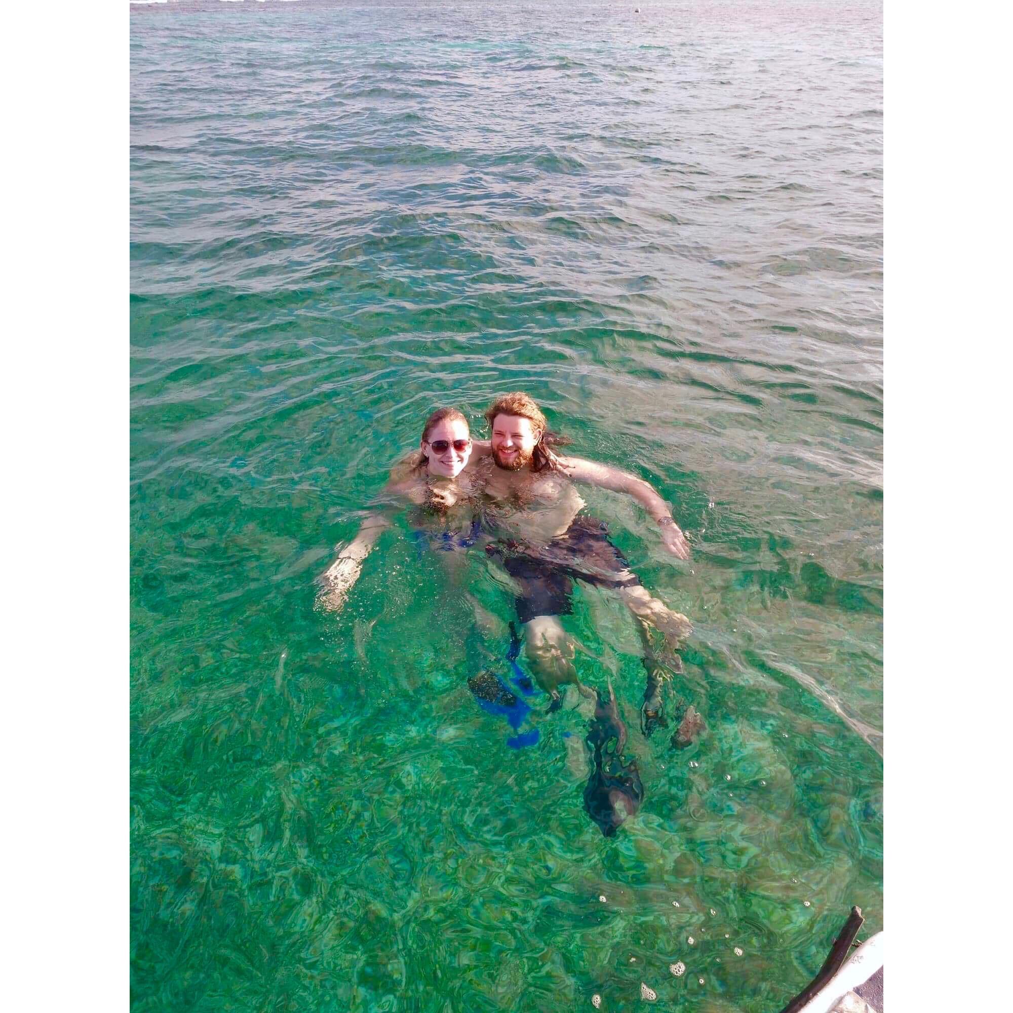 Snorkeling with nurse sharks in Belize