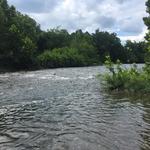 Cowpasture River