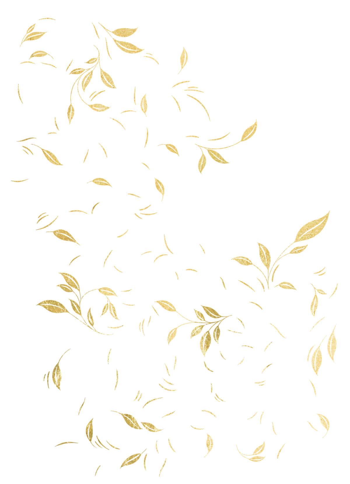 Ralphie Type Foil | Forest | Zola Holiday Cards