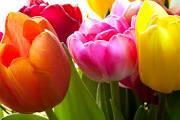 01877f51-f66b-4165-8177-55397d822b22