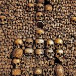 Catacombs of Paris