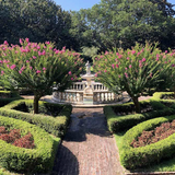 Elizabethan Gardens