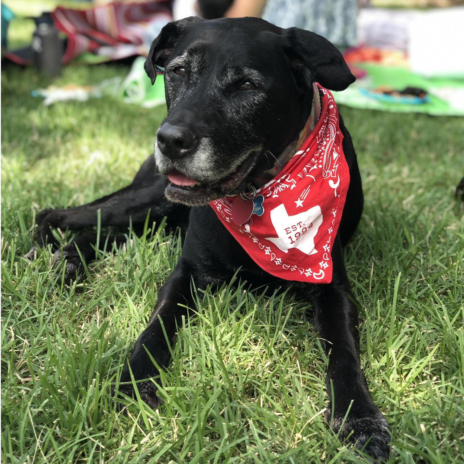 Nick's baby girl who quickly adopted Kimmi as her mama.