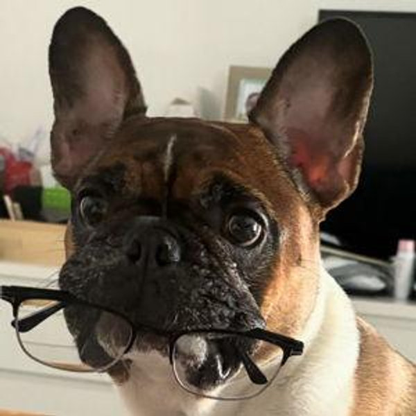 Balou's Book Fund
