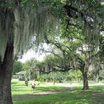 Audubon Park