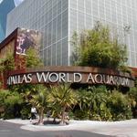 The Dallas World Aquarium