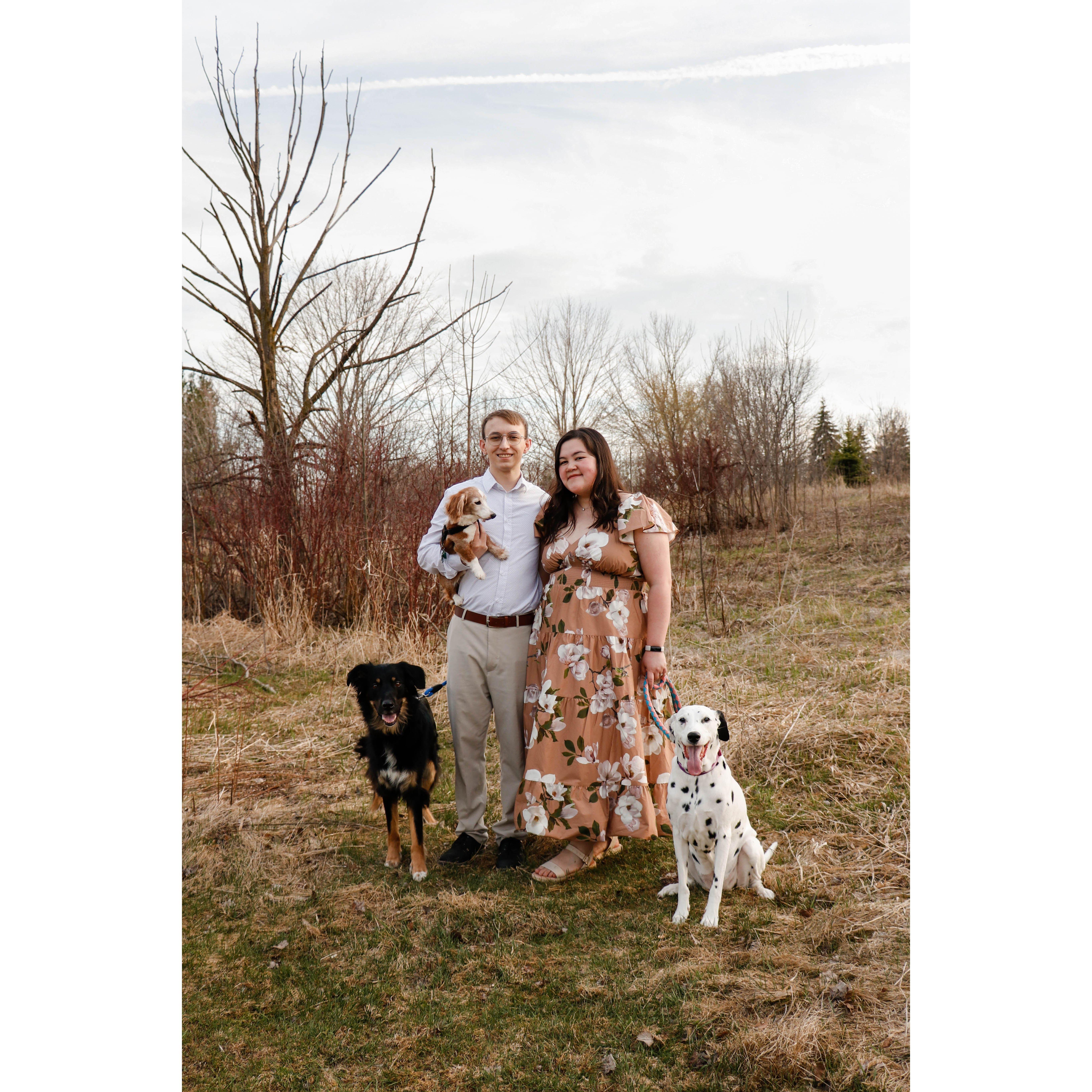 This is our first proper family photo with all of the dogs.