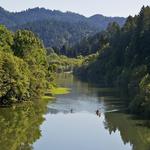 Play in the Russian River