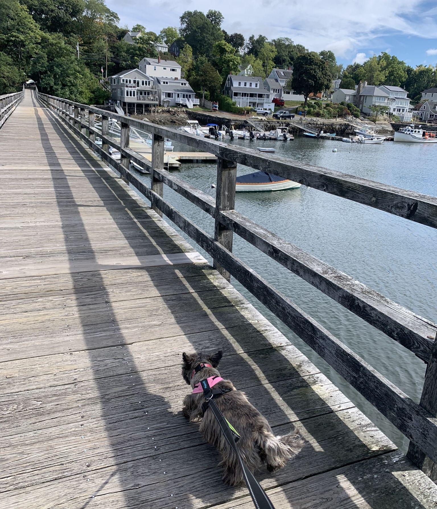 The Wedding Website of Lila Hughes and Seth King