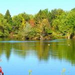 Kathryn Albertson Park