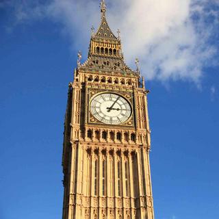 Changing of the Guards & Westminster Walking Tour for 2 - London