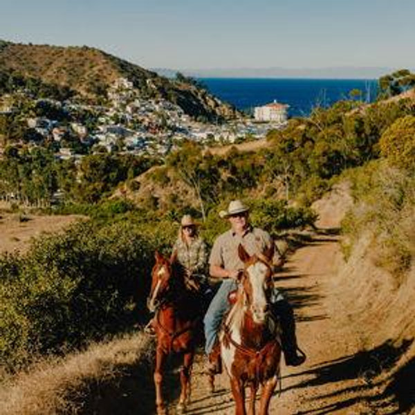 Horseback Guided Trail Ride