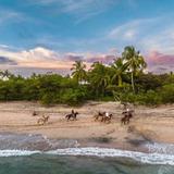 Horseback rides on the beach