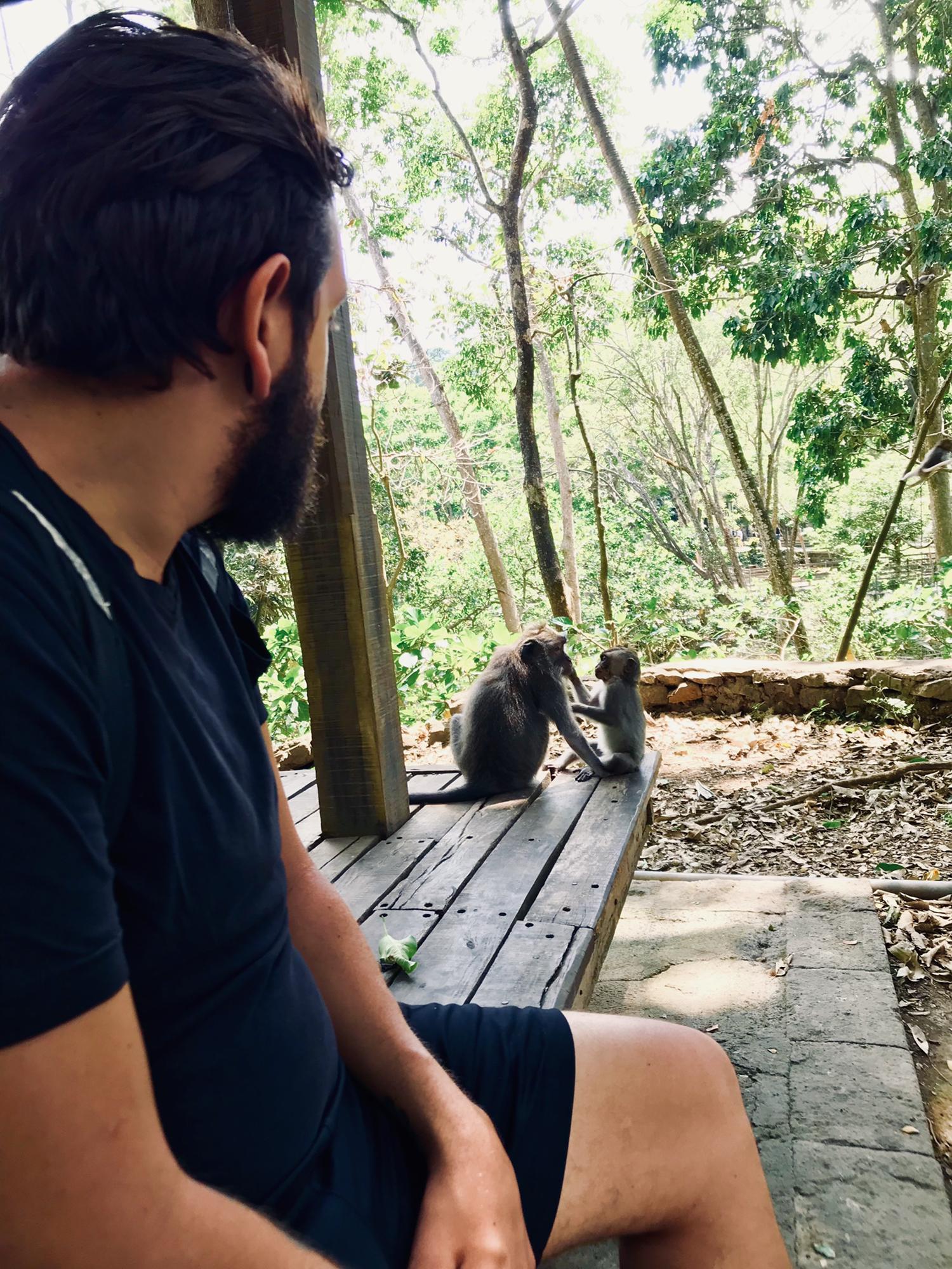 Monkey forest in Ubud, Bali