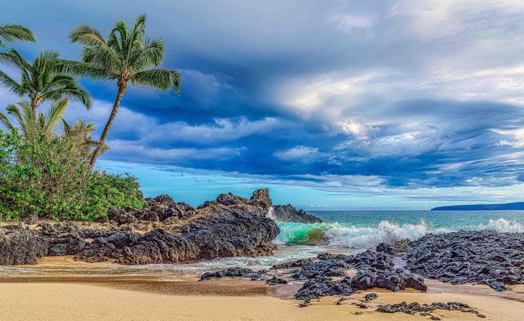 0199f038-9f68-46a9-a2c1-bd007e5fd4a5