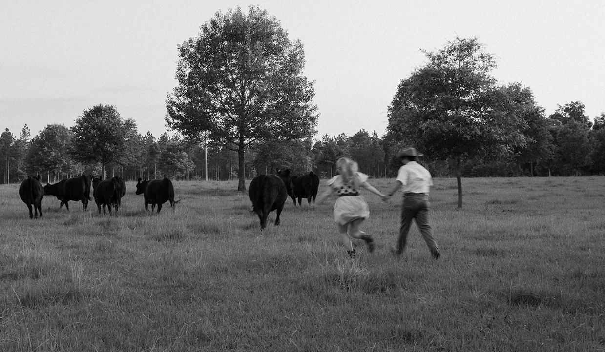 The Wedding Website of Emily Carlton and Tyler Stewart