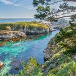 Point Lobos State Natural Reserve