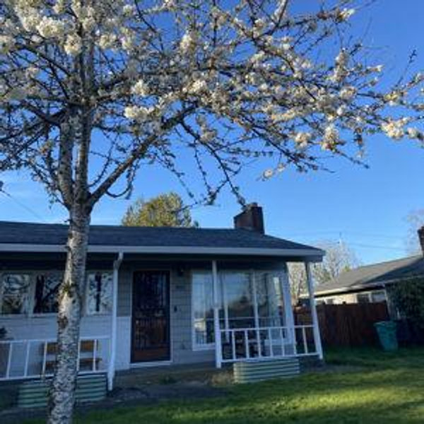 Home Improvement Projects