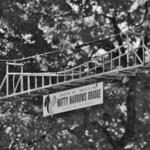 Nutty Narrows - Squirrel Bridges