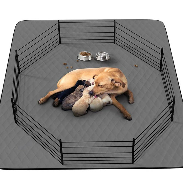 CoolShields Washable Puppy Dog Pee Pad, 72" X72" Extra Large, Waterproof Whelping Training Pet Mat for Playpen, Crate, Potty, Floor, Bed, Sofa and Trunk, Reusable Pee Pads for Dogs, Cats, Bunny