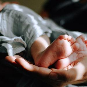 IVF Fund