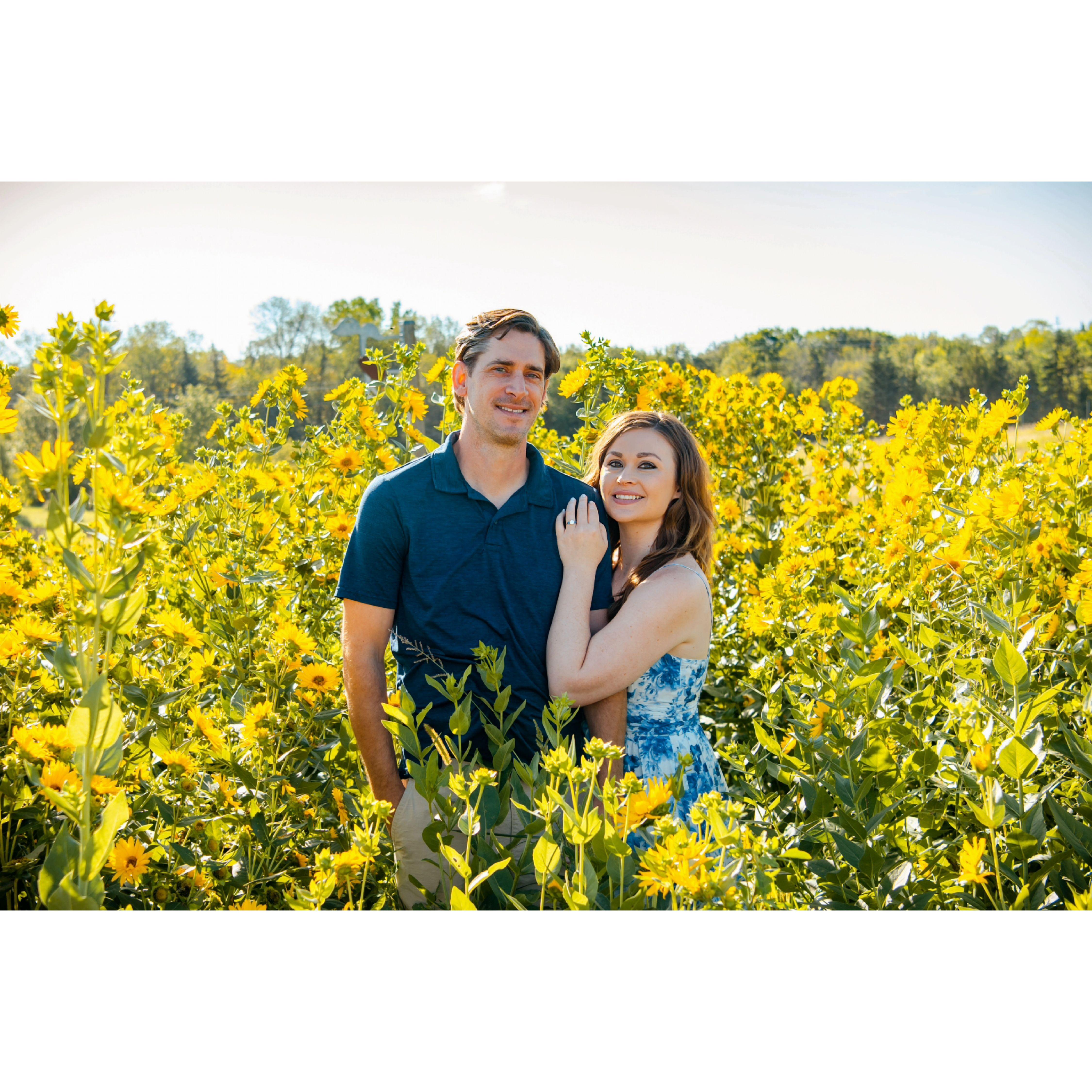 Engagement photos at the Minnesota Landscape Arboretum, August 2024