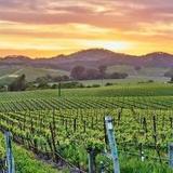 Napa