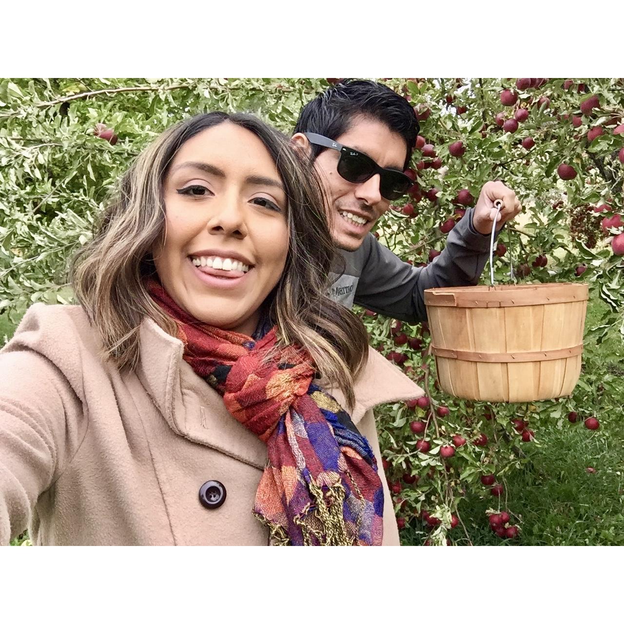 That one time we went apple picking during our first fall season in Utah #basic