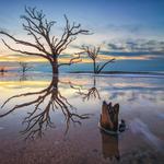 Botany Bay Island