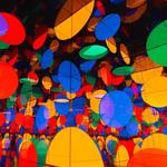 San Francisco Museum of Modern Art (including Yayoi Kusama: Infinite Love)