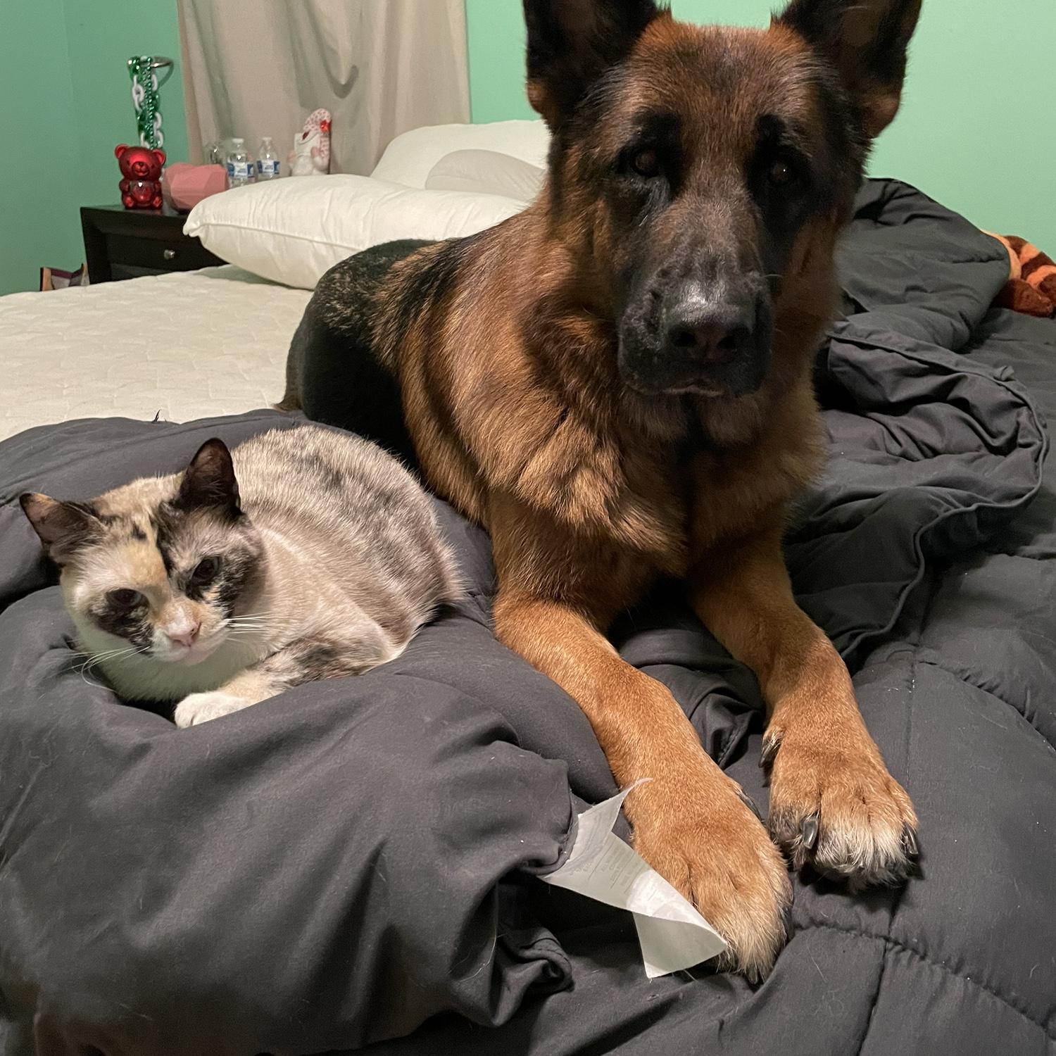S'more and Atlas