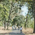 Bike Rentals
