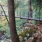 Deer Creek Tribute Trail